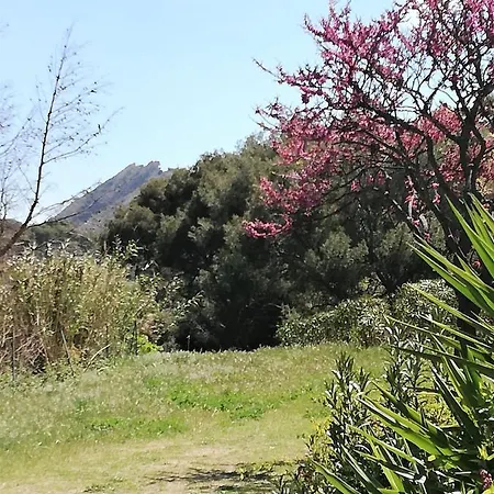 Studio 28M2 Climatise,Wifi, Proche Des Calanques,Plages La Ciotat Exterior photo