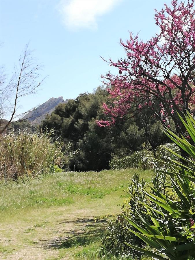 28m2 Climatise,wifi, Proche Des Calanques,plages *
